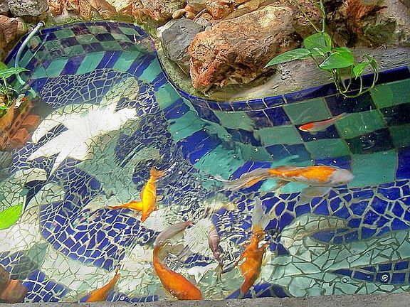 Indoor tiled fish pond
