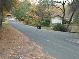 2nd image of 19990 Via Arroyo Rd