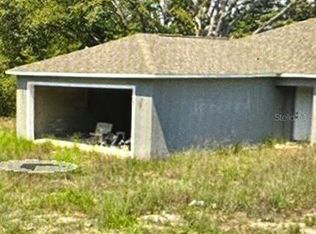 223 Malauka Run, Ocklawaha, FL 32179