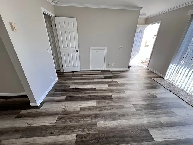 4202 Hilaria Way — Photo 1