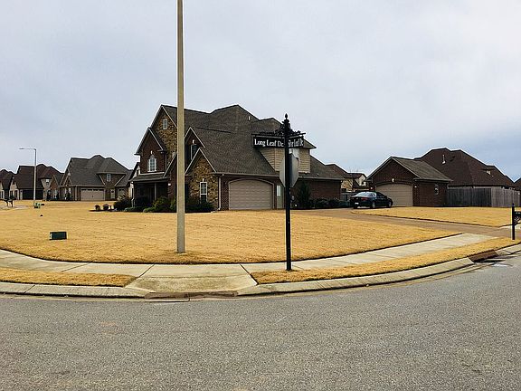 2nd image of 382 Silver Leaf Dr