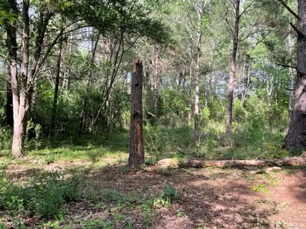 0 NW 60th Pl, Jennings, FL 32053