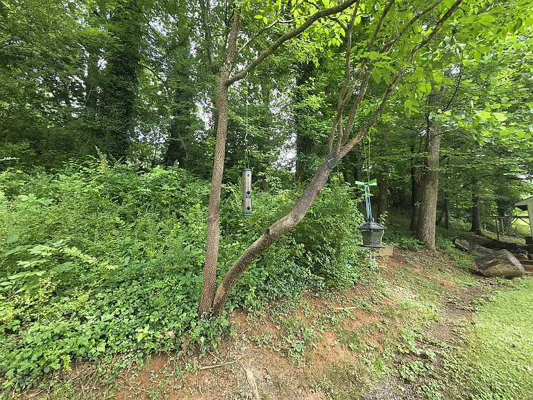 5228 Asher Ln #204 — Photo 9