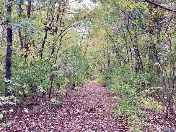 13 Forest Home Dr #14, Trinity, AL 35673