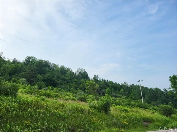 4221 Nys Rte #242-13, Machias, NY 14101