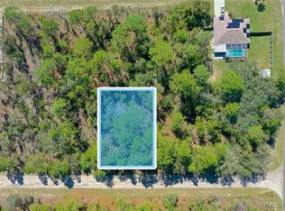 1628 W Pendleton St, Citrus Springs, FL 34434