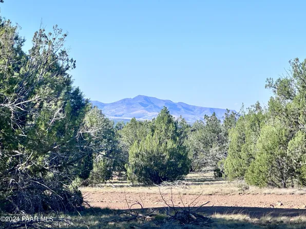 545A N Summer Rain Rd, Seligman, AZ 86337