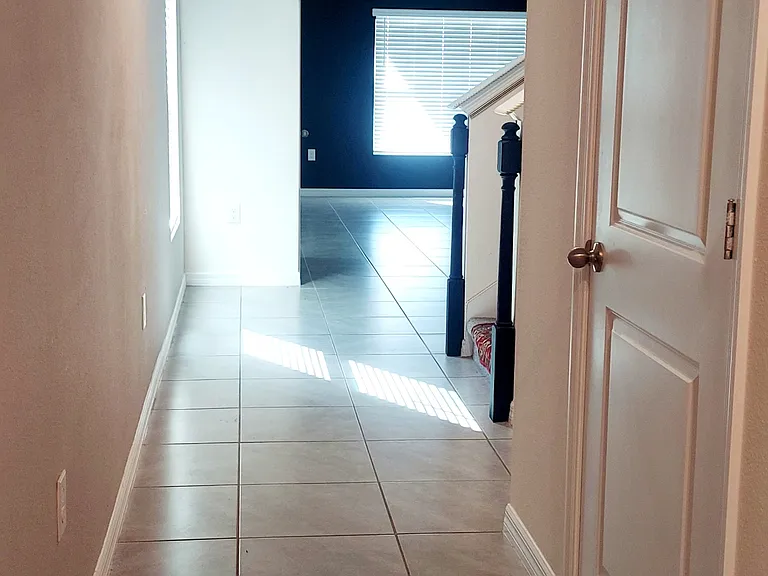 35386 Spruce Knob Ct — Photo 12
