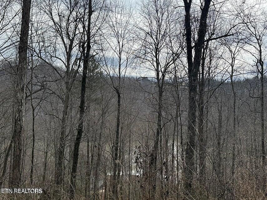 2nd image of Jones Ridge Road Rd