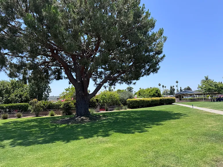914 La Fiesta Way — Photo 35