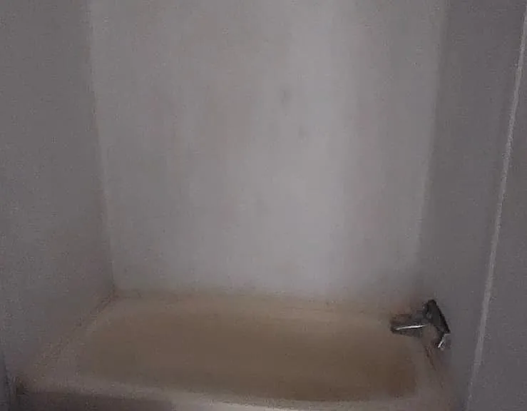 8364 Cedar St #2 — Photo 36