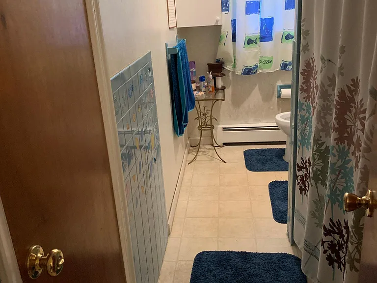 Downstairs Full BathRoom (1)