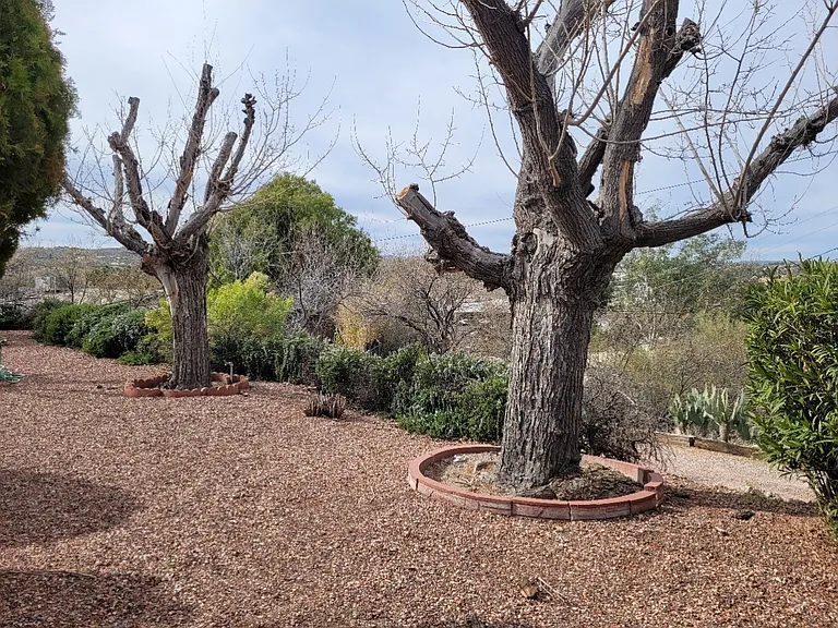 600 El Recreo Ct — Photo 27