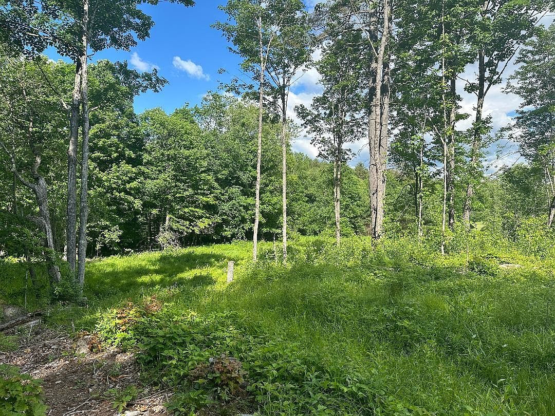 lot #2 Rowentown Road, Wentworth, NH 03282 | Zillow