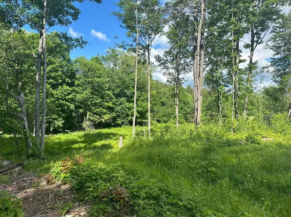 lot #2 Rowentown Road, Wentworth, NH 03282