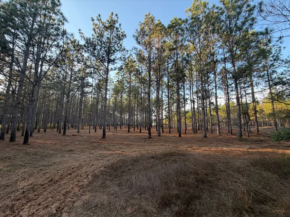 0 County Road 1166, Troy, AL 36079