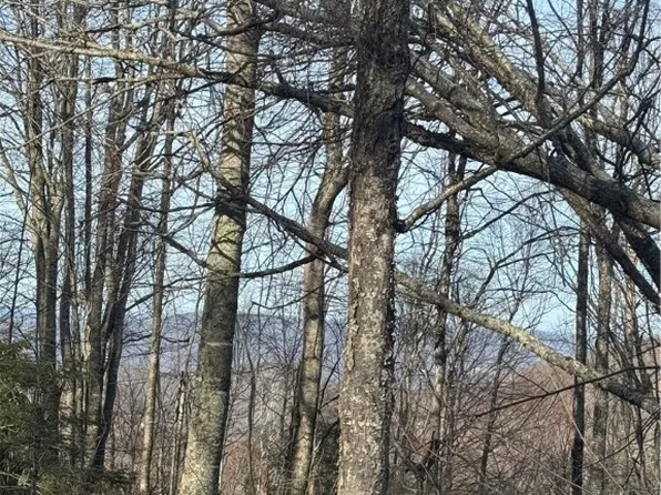 226 Greenbriar Road, Beech Mountain, NC 28604