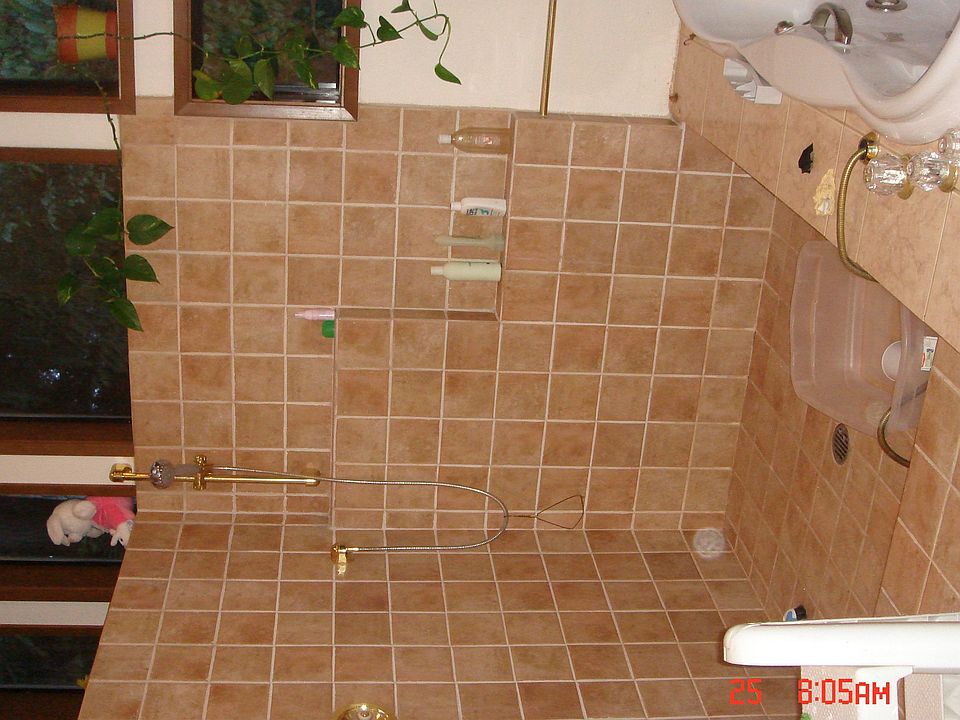shower in Master Bath