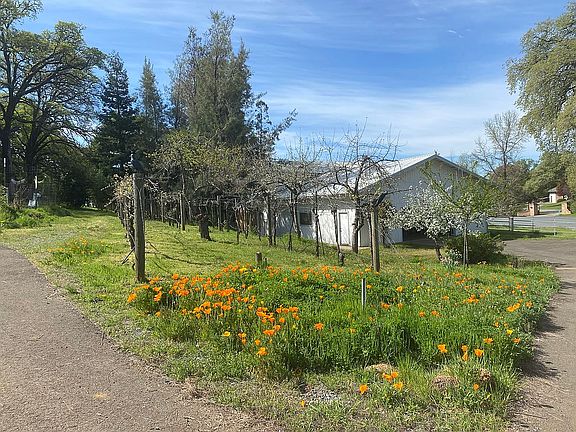 Barn, apple trees and grapes