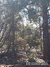 2nd image of Tract 2 Costilla Place