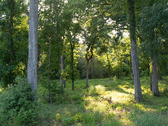 3rd image of 156 Wilbarger Creek Dr