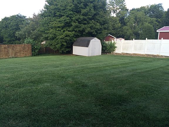 back yard with storage shed