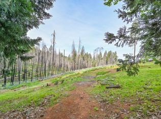 5194 Woodhaven Dr, Grizzly Flats, CA