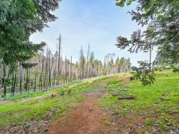 5194 Woodhaven Dr, Grizzly Flats, CA 95636