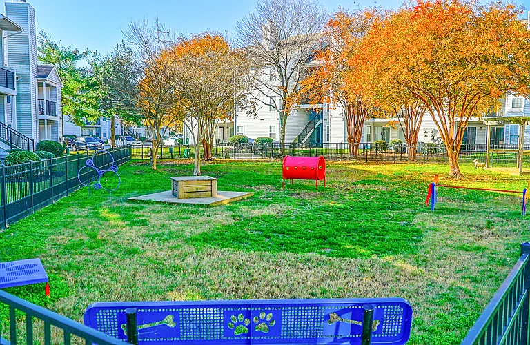 Bark Park with agility equipment