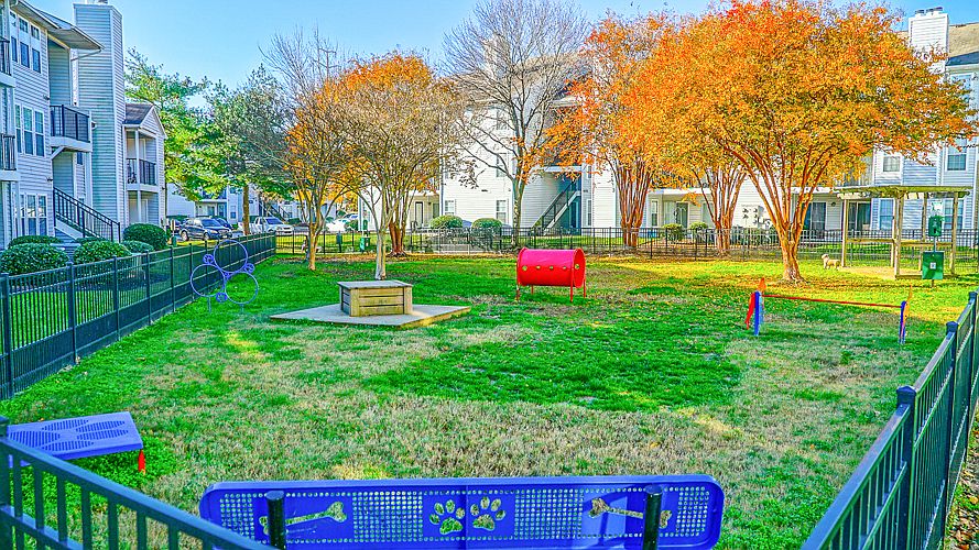 Bark Park with agility equipment