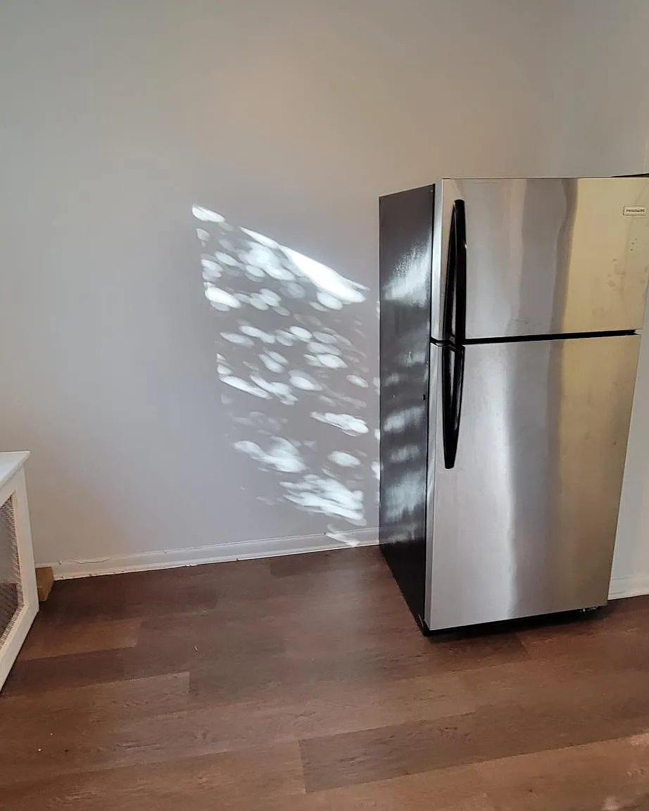 3 bed, 1200 sqft, $2,750 — Photo 2