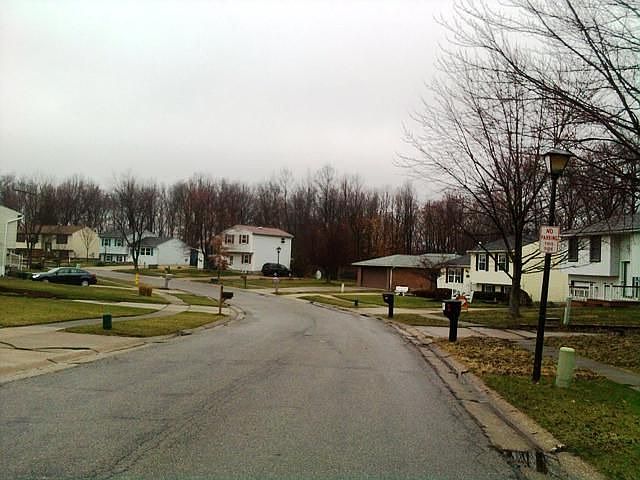 2nd image of 872 Sunnywood Ln
