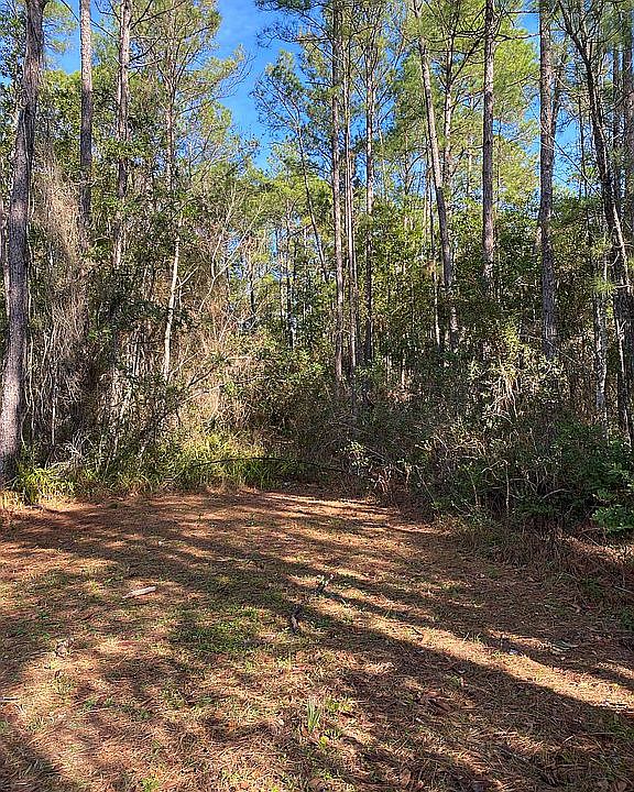 1st image of O'Ferncreek Trl