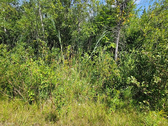 4th image of 15225 Lakeview Dr