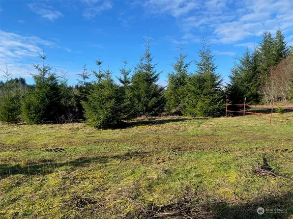 0 Lot 2 Brockway Road, Chehalis, WA 98532