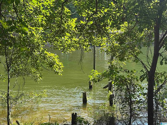 2nd image of 170 Griffitt Bend Rd