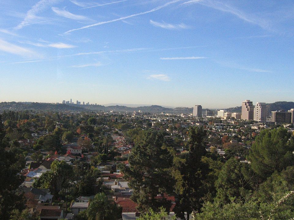 View from Living Room
