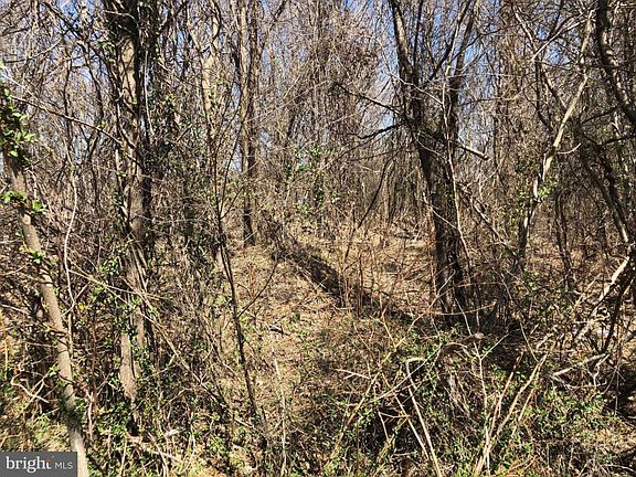 3rd image of 1889 Delsea Dr