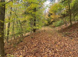 0 Beckhorn Hollow Rd, Van Etten, NY 14889