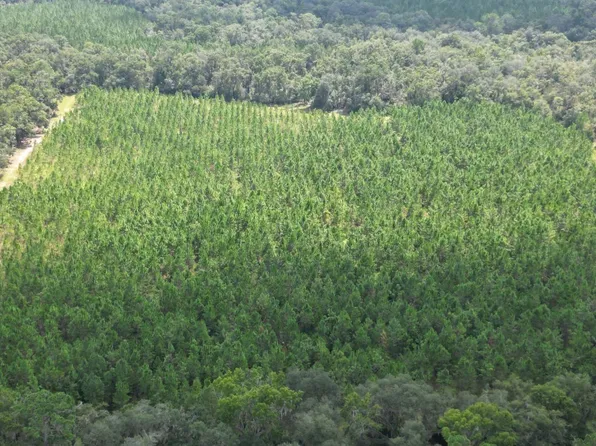 County Road 136a, Mayo, FL 32066