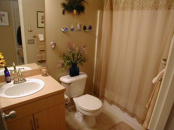 Hall Bath - All new decorator towel bars, fixtures.