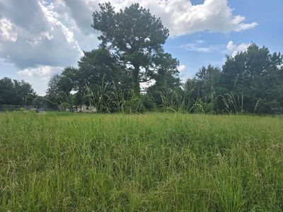 3618 Plumcrest Ave, Albany, GA, 31705