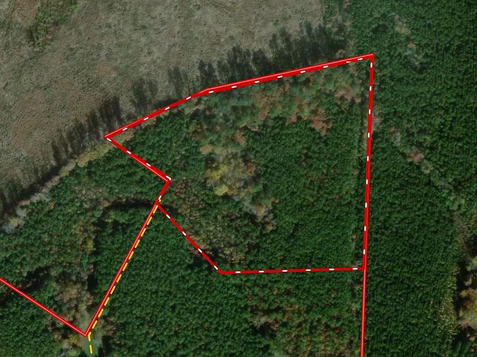 1st image of Diguardi Dr
