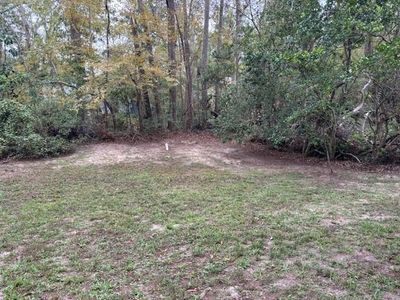 1013 Clay St, Tallahassee, FL, 32304