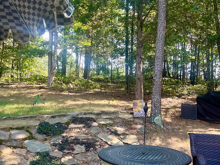 315 Mountain Ranch Dr — Photo 14