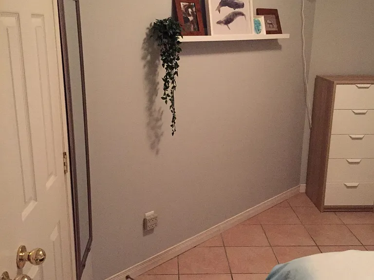 22 Lina Marra Dr #BASEMENT — Photo 9