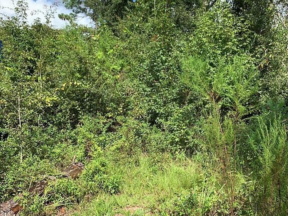 4th image of 8093 E Cypress Dr
