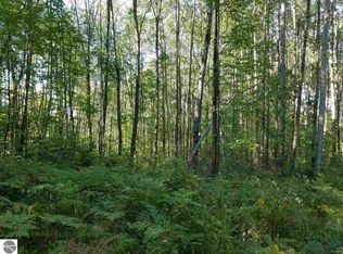 0 E Peters Rd, Hale, MI 48739