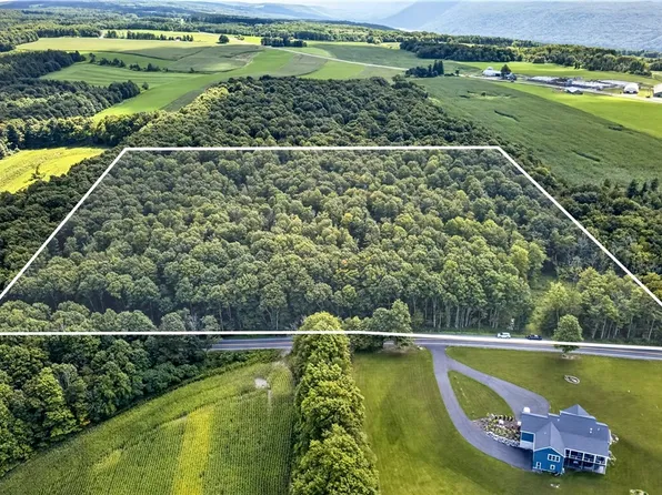 Stanton Rd #1, Skaneateles, NY 13152