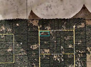 50 NE 447th Ave, Old Town, FL 32680